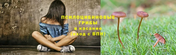 стафф Михайловка