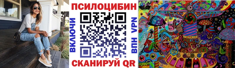 Галлюциногенные грибы Psilocybe  Купить закладки  Ивдель 